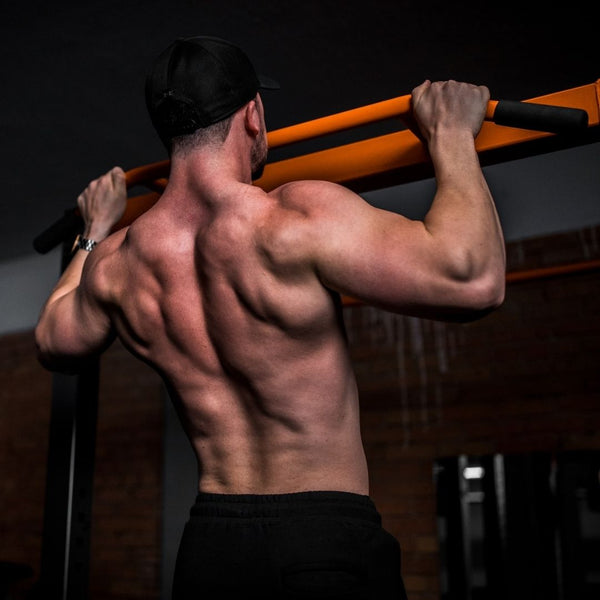 Back Spurt  Muscle groups to workout, Back muscles, Good back workouts
