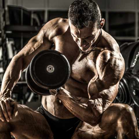 The Ultimate Bodybuilding Program: Beginner To Advanced - SET FOR SET