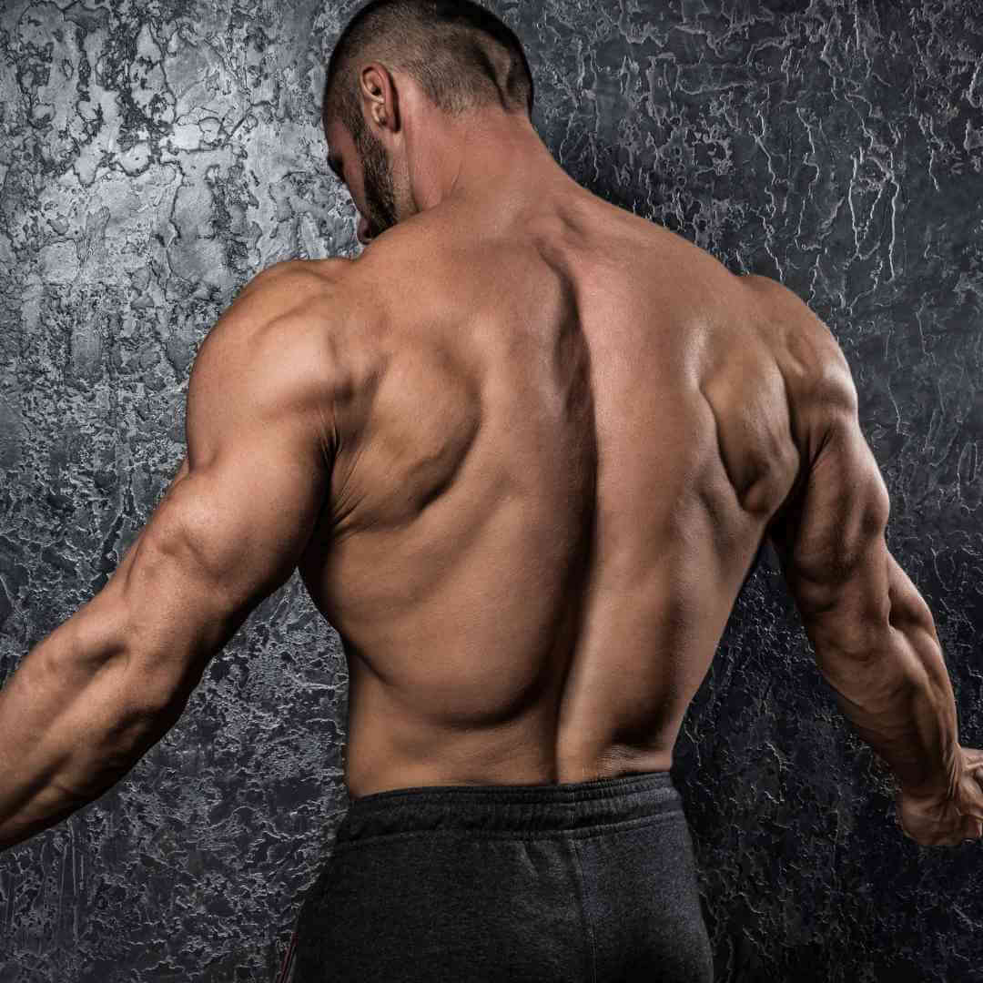 Full Back Workout For Bigger Back - SHREDDED BODY 
