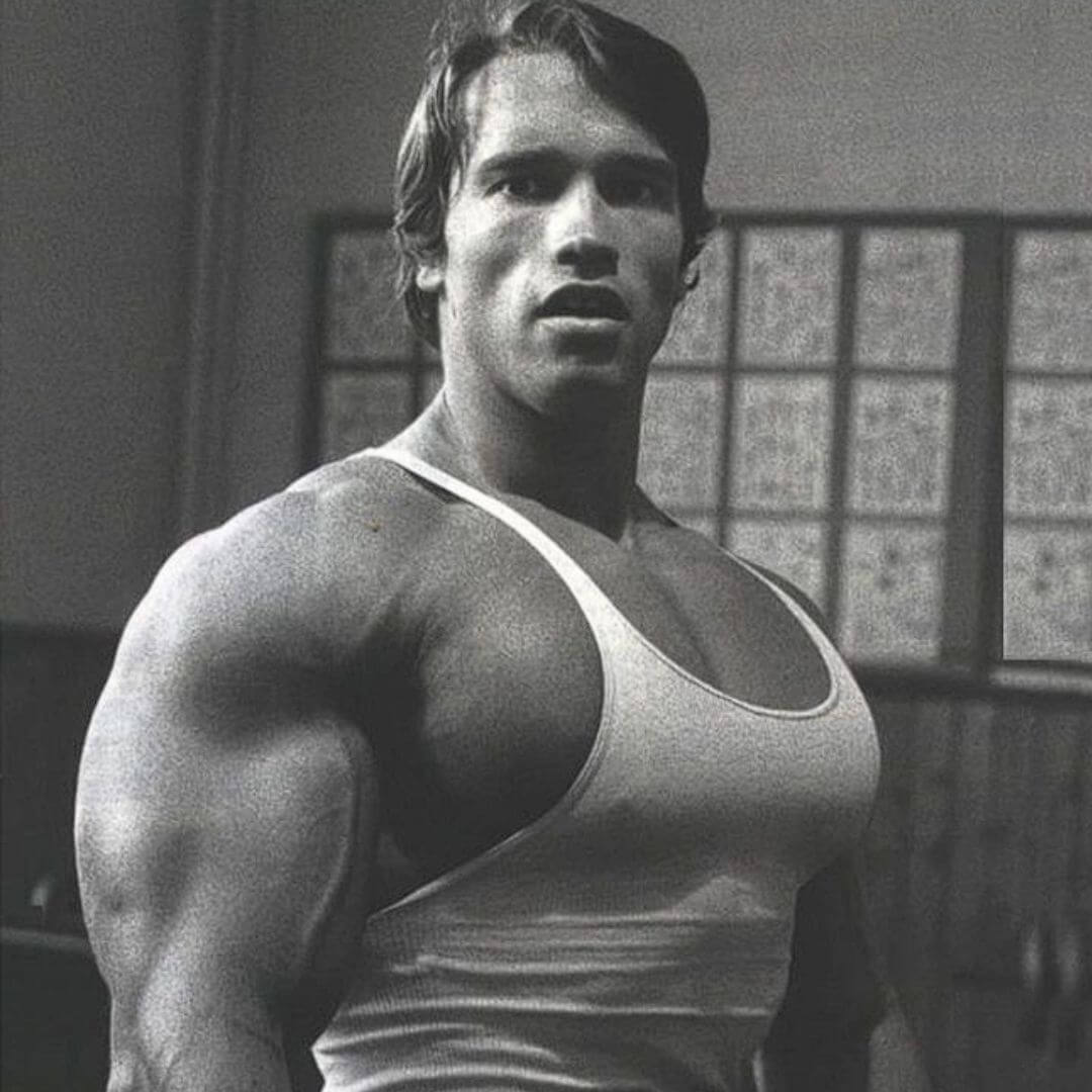 The Comeback: Arnold Schwarzenegger | National Film and Sound Archive of  Australia