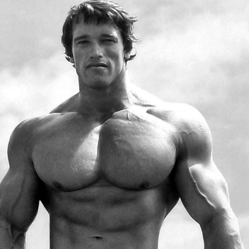 The Ultimate Arnold Schwarzenegger Training Guide - Muscle & Fitness