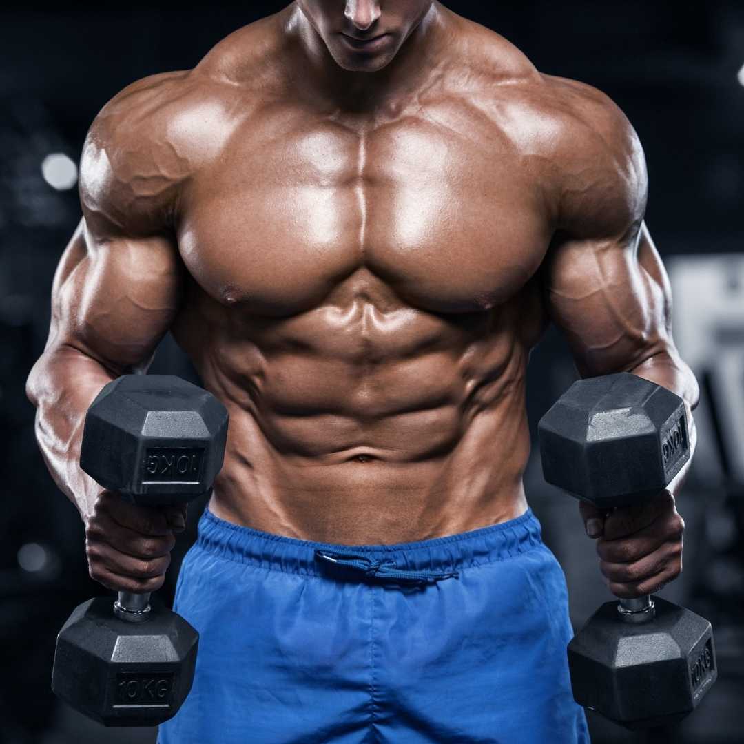 The New Bodybuilding Workout: Hammer your chest, back, and arms on
