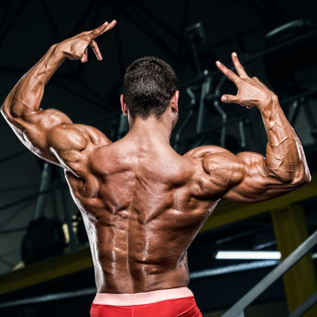 How To Ultimate Back Workout