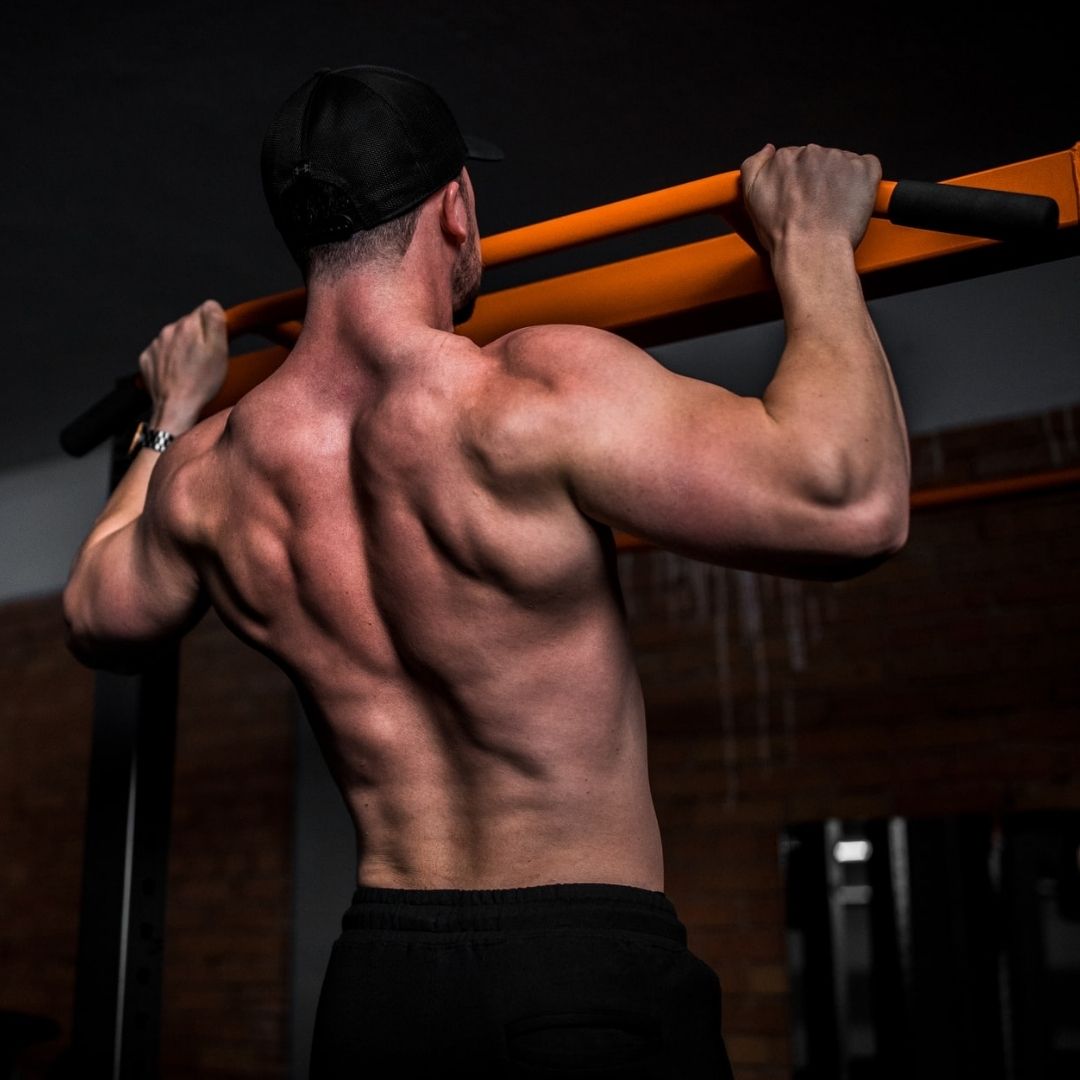 15 Back Workouts For Building Muscle