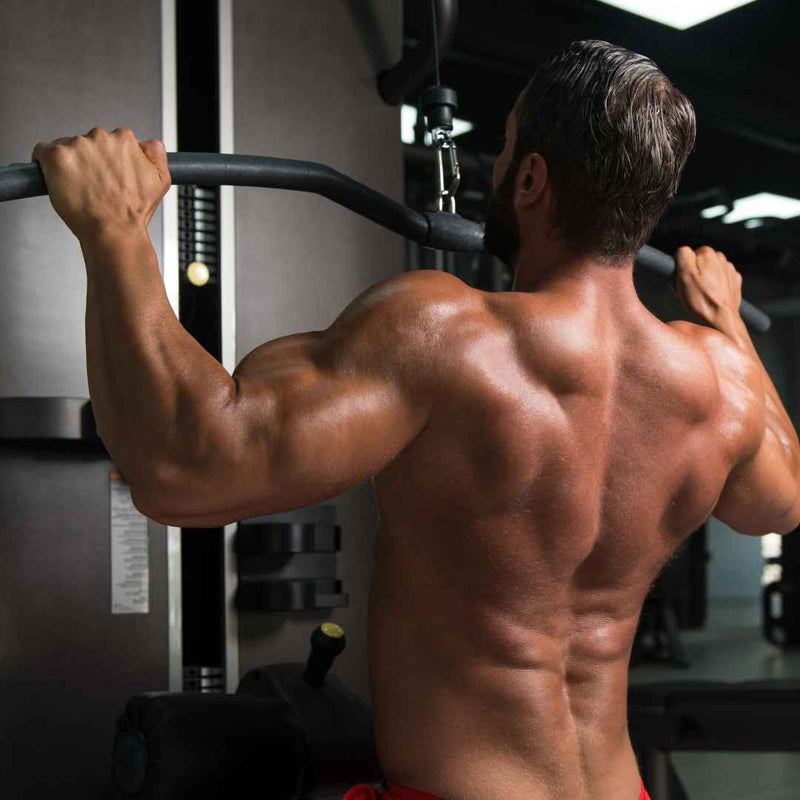 Best Upper Lower Workout Plan (2, 3, 4, & 5 Day Splits) - SET FOR SET