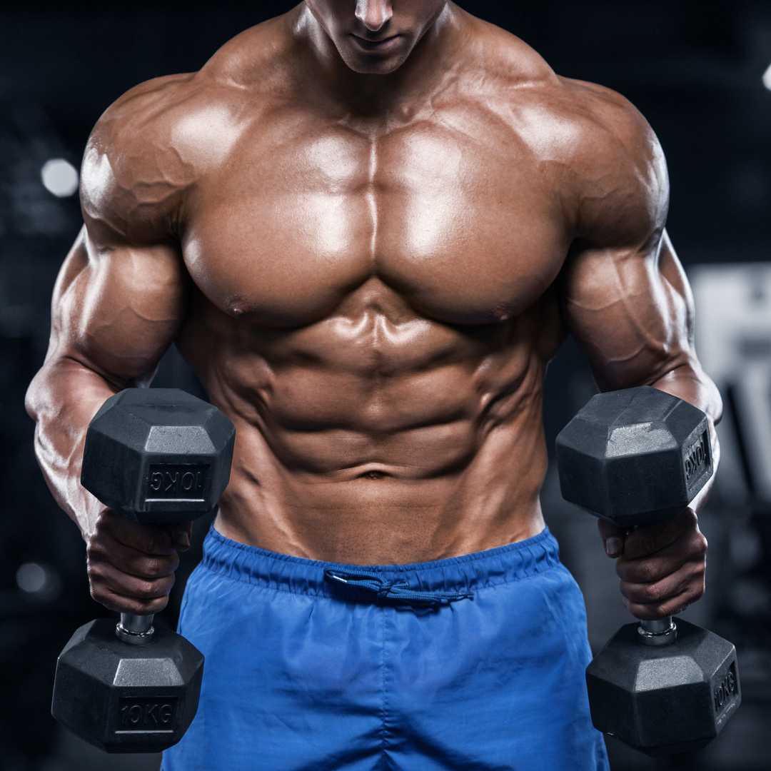 Chest and Bicep Dumbbell Workout Routines