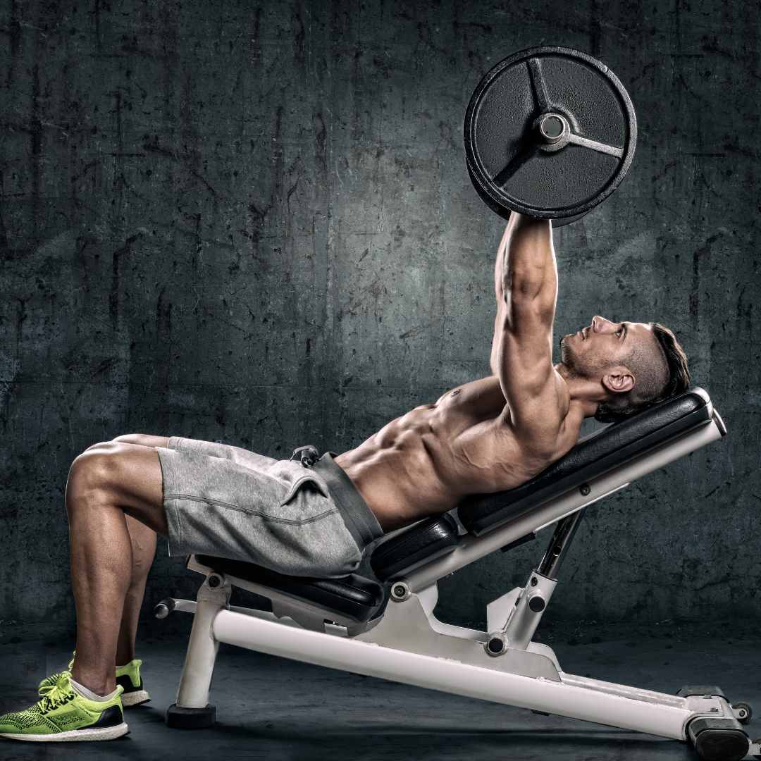 BEST Quality Multi 6 Exercise Adjustable Chest Bench Press Incline Decline  Straight Flat Leg Thigh Biceps Bench Press Chest Exercise Bench Press  Weight Lifting Bench Press Body Building Bench Press Home Gym