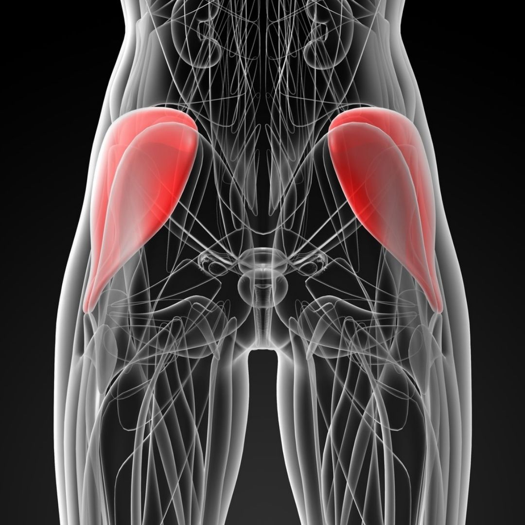 gluteus medius exercises