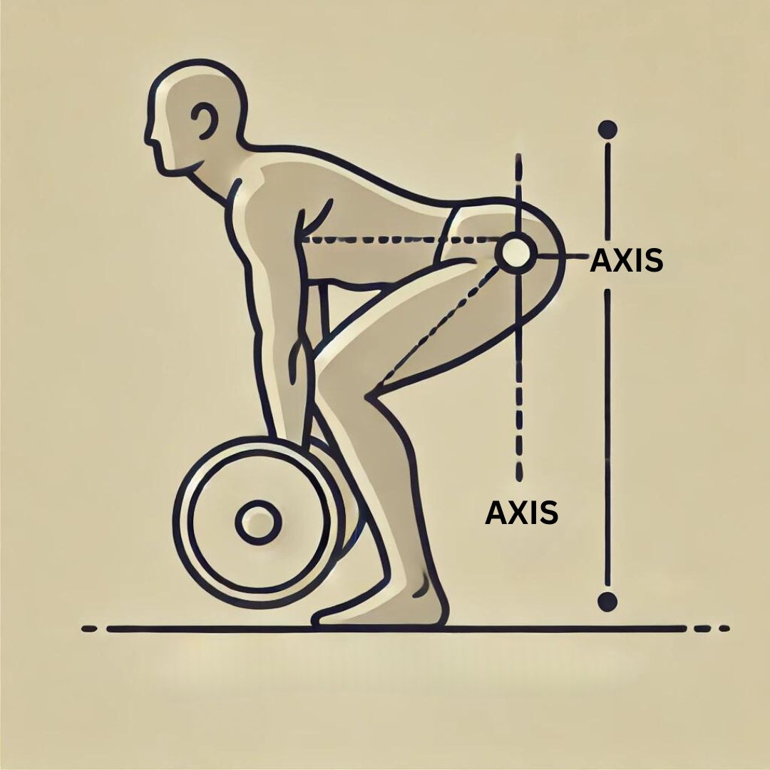 hip dominant movements