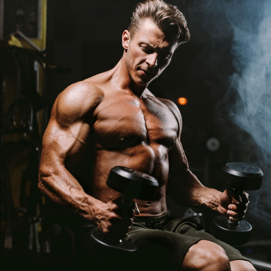 The Ultimate Full Body Workout Plan for Muscle & Strength - SET FOR SET