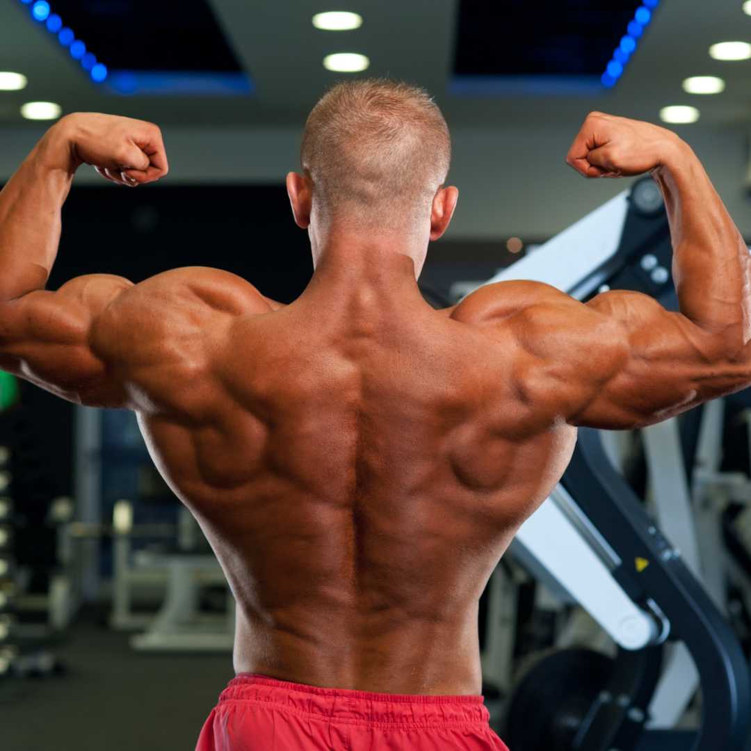 Build An Amazing Back Workout  How to Train the Muscles - Gym or