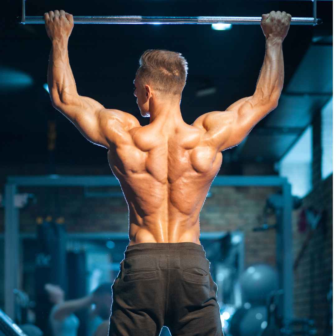 Back WIDTH Workout  Getting a WIDE Back For An Insane V-taper