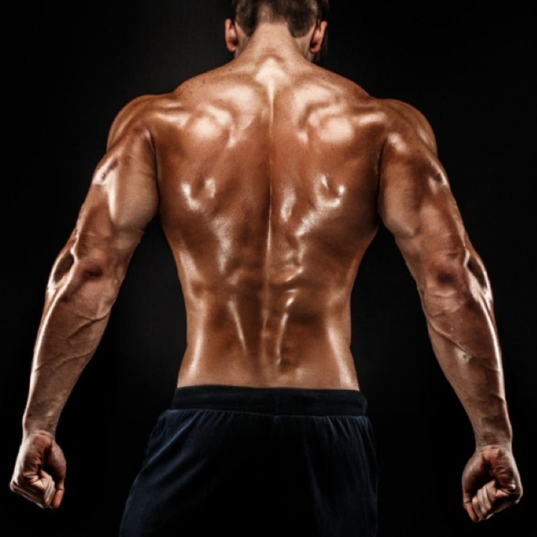 Back In The Day: Building A Big, Thick Back Requires You To Do Heavy-Duty  Power Exercises 