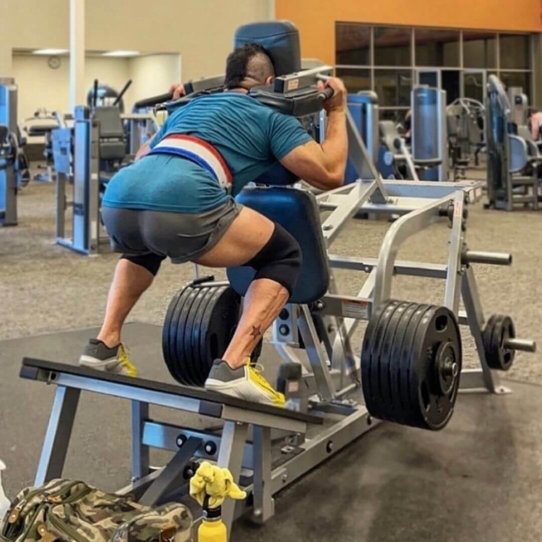 reverse hack squat