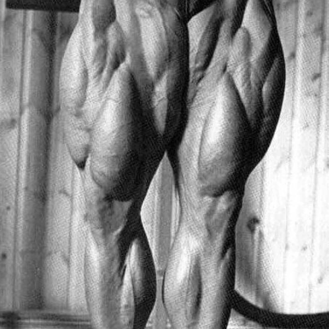 tom platz leg workout