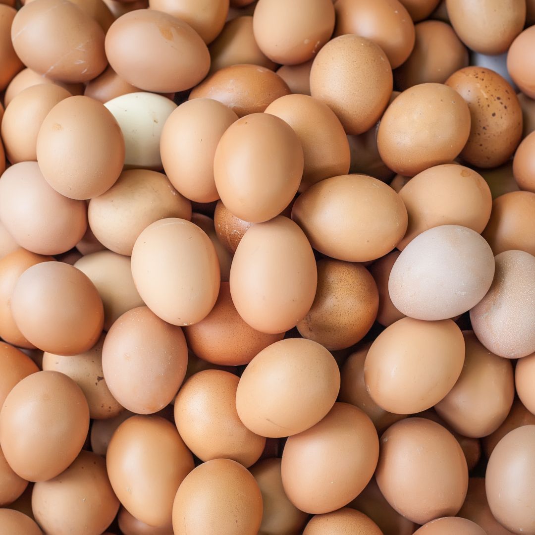 why you need eggs in your diet